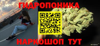 стафф Краснокаменск