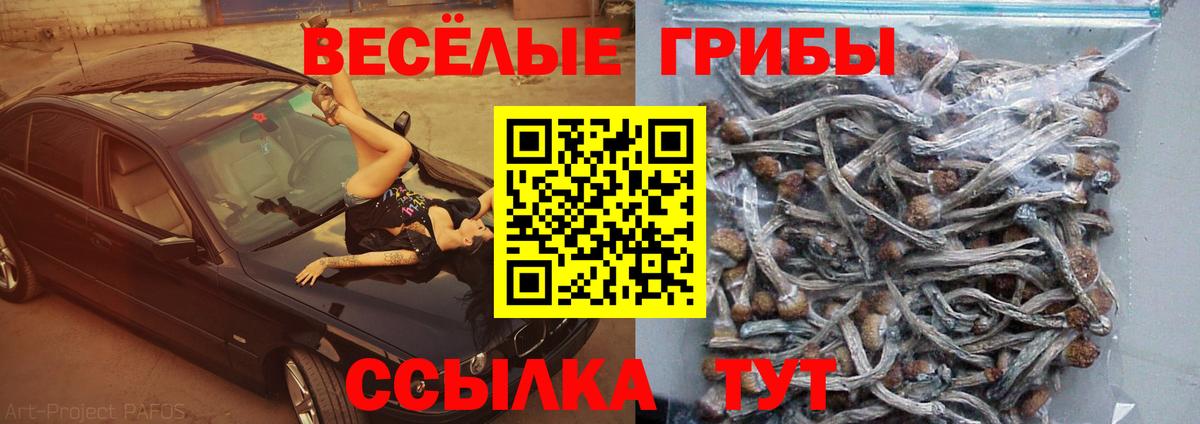 Галлюциногенные грибы ЛСД  Вход с VPN  Биробиджан 